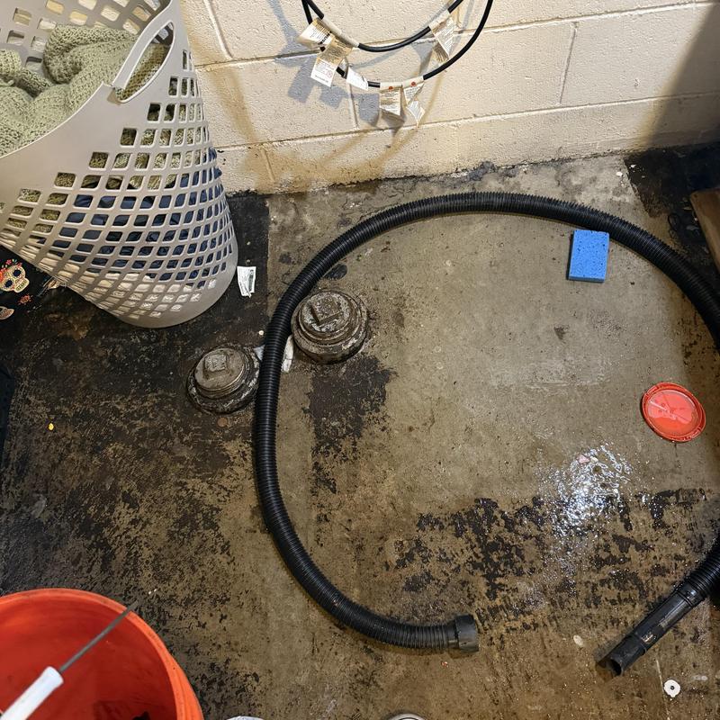 Main drain cleanout with hose in basement floor