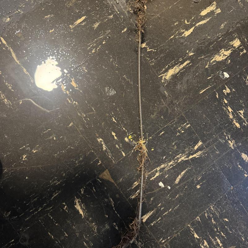 Drain cleaning auger with roots removed on tile floor