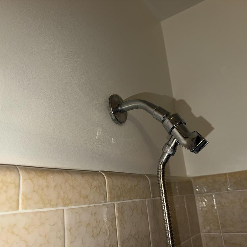 Moen shower arm with attached hose in tiled shower