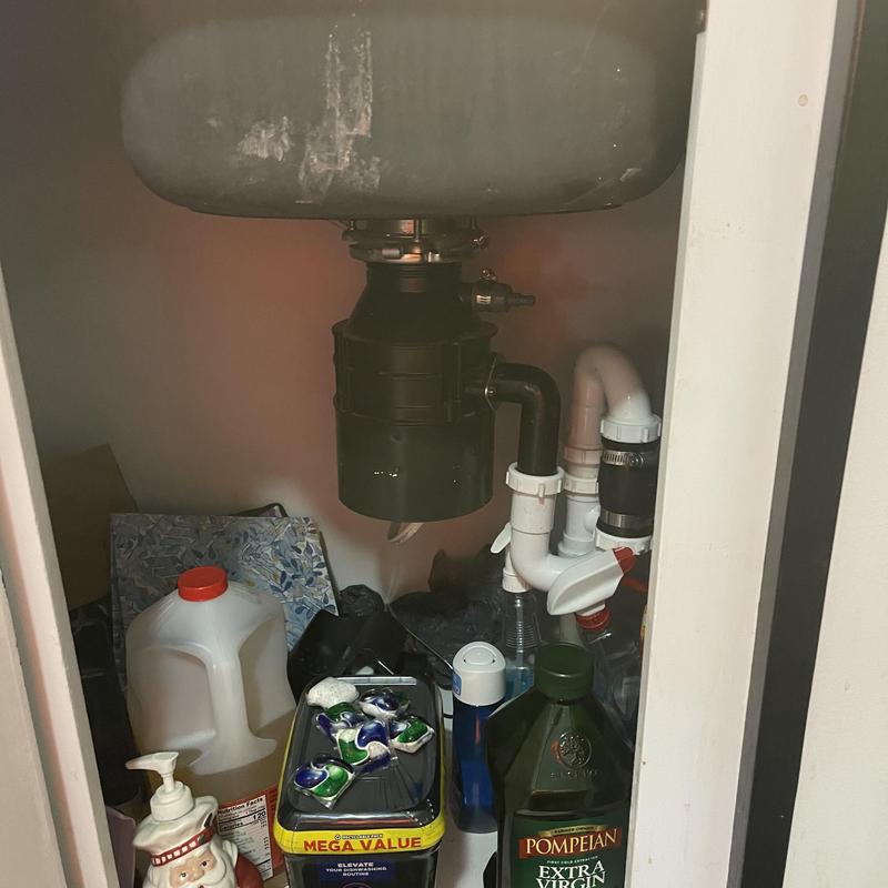Garbage disposal and sink drain pipes with cleaning supplies Garbage disposal and sink drain pipes with cleaning supplies