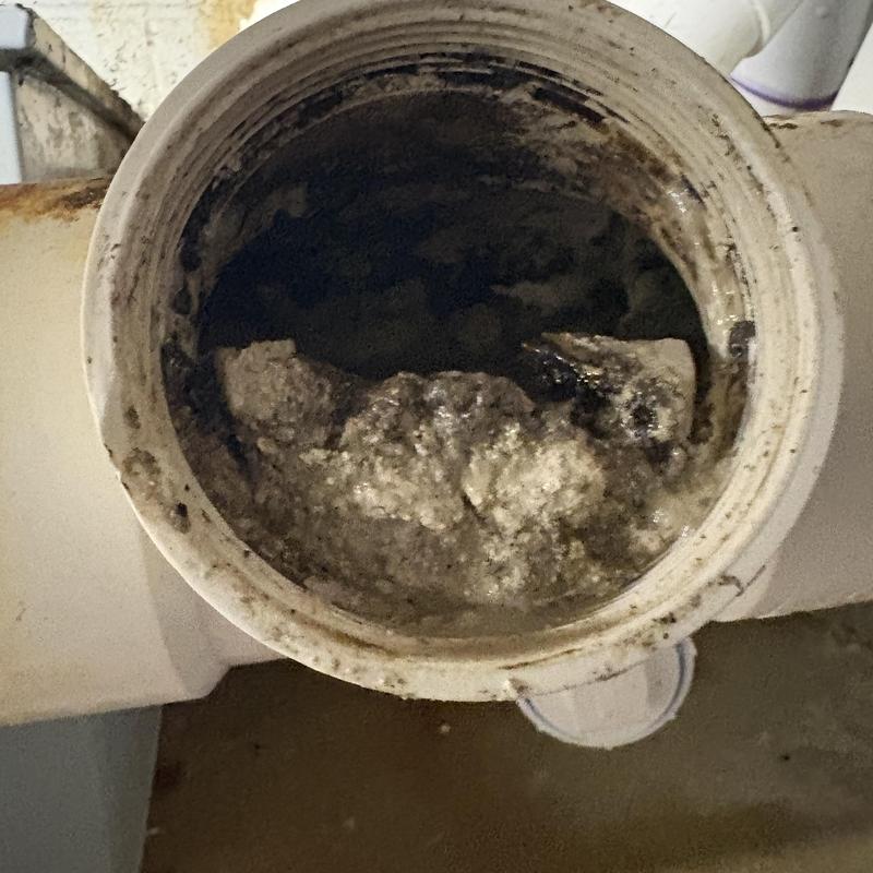 Main line pipe clog with heavy debris buildup Main line pipe clog with heavy debris buildup