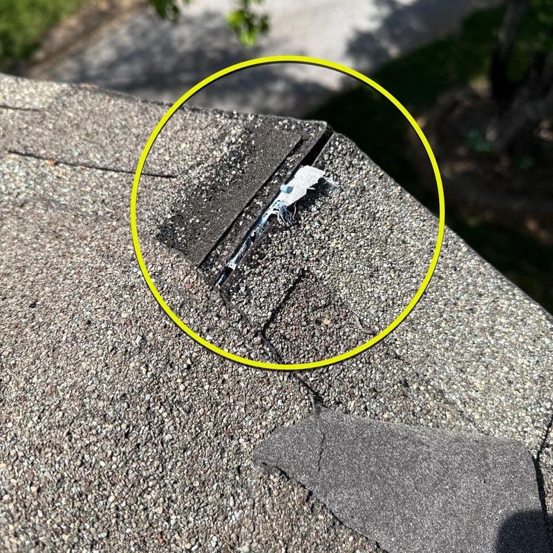 Roof shingles with lifted and damaged granules