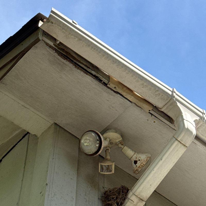 Gutter and soffit damage with bird nest under eave