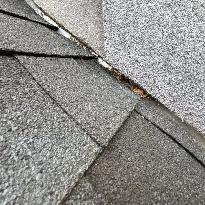 Roof shingles and flashing gap with debris buildup