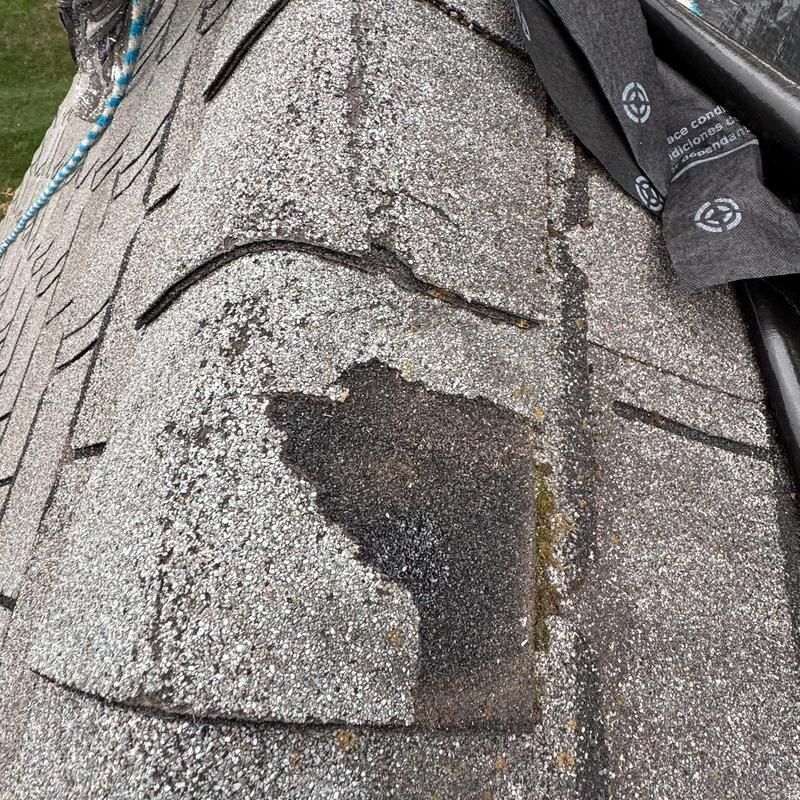 Asphalt roof shingle with damaged granules and wear