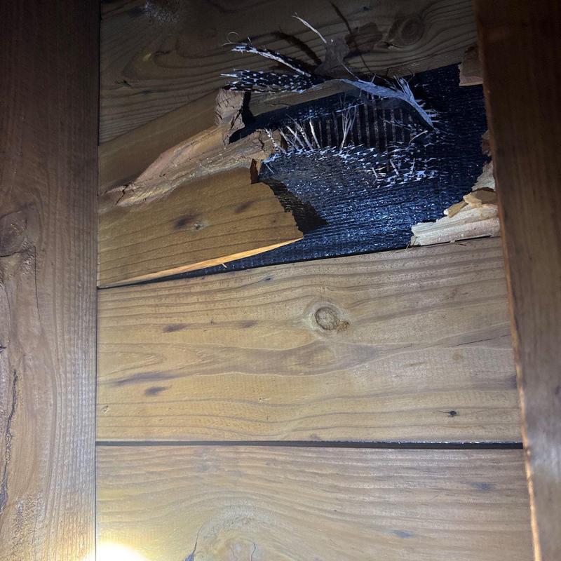 Wood decking with significant water damage and rot