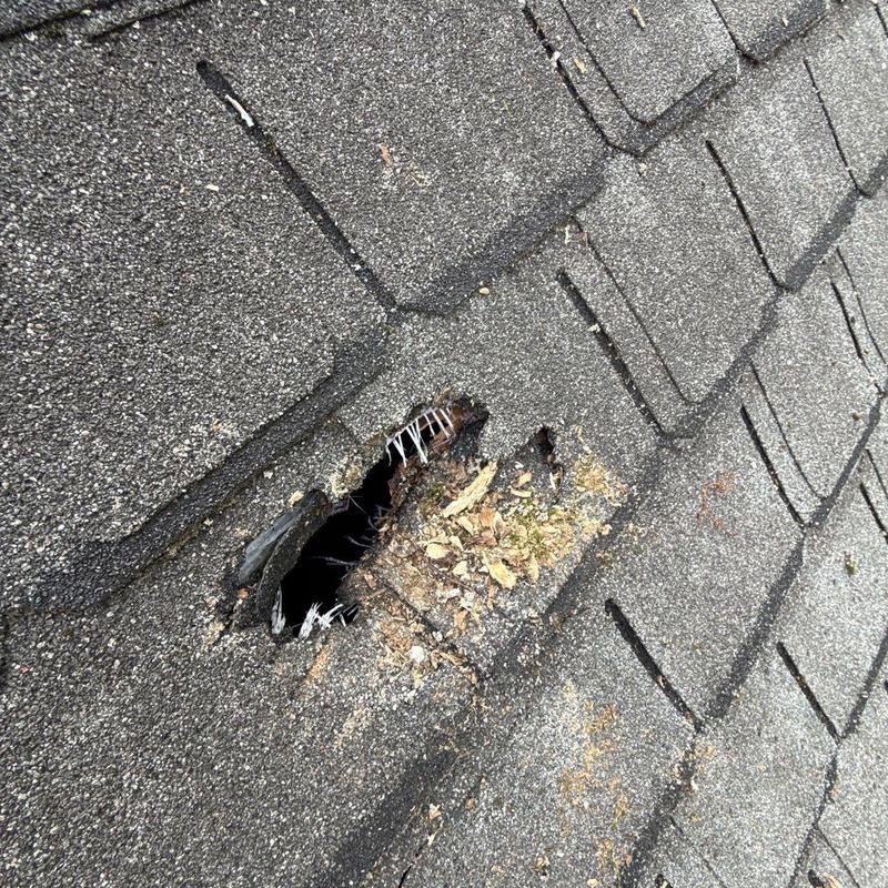 Asphalt shingle with hole and debris on roof surface