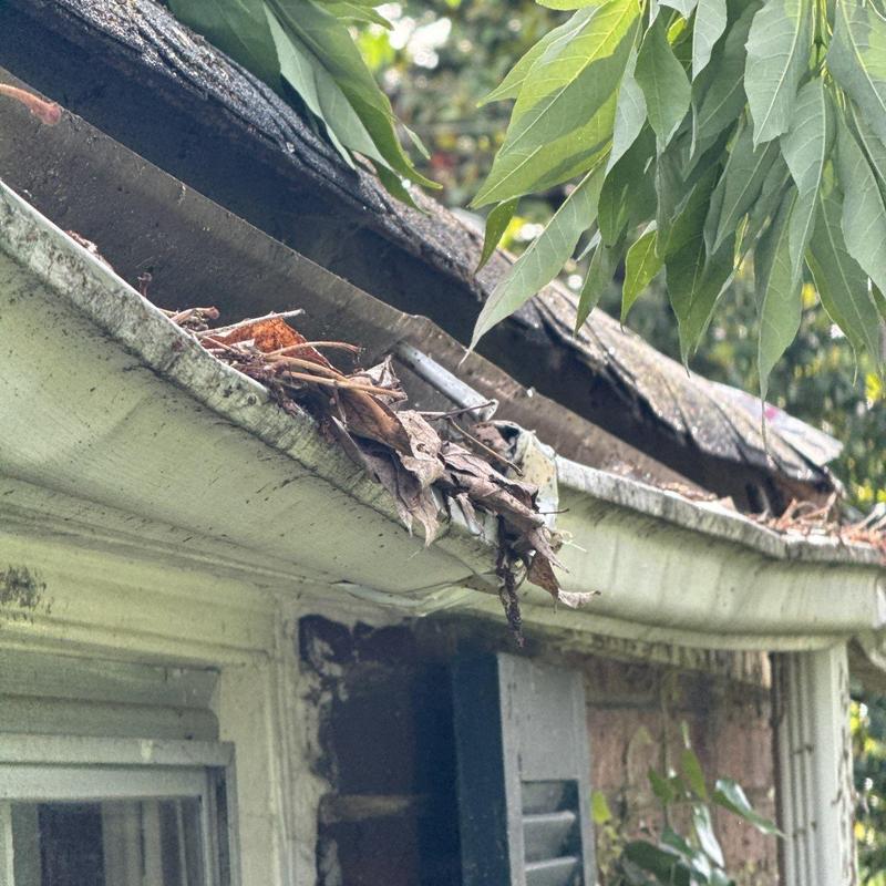 Gutter clogged with leaves and debris on residential roof