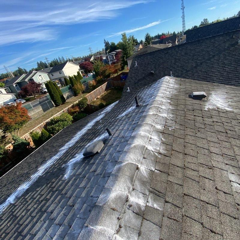Asphalt shingle roof with moss treatment application
