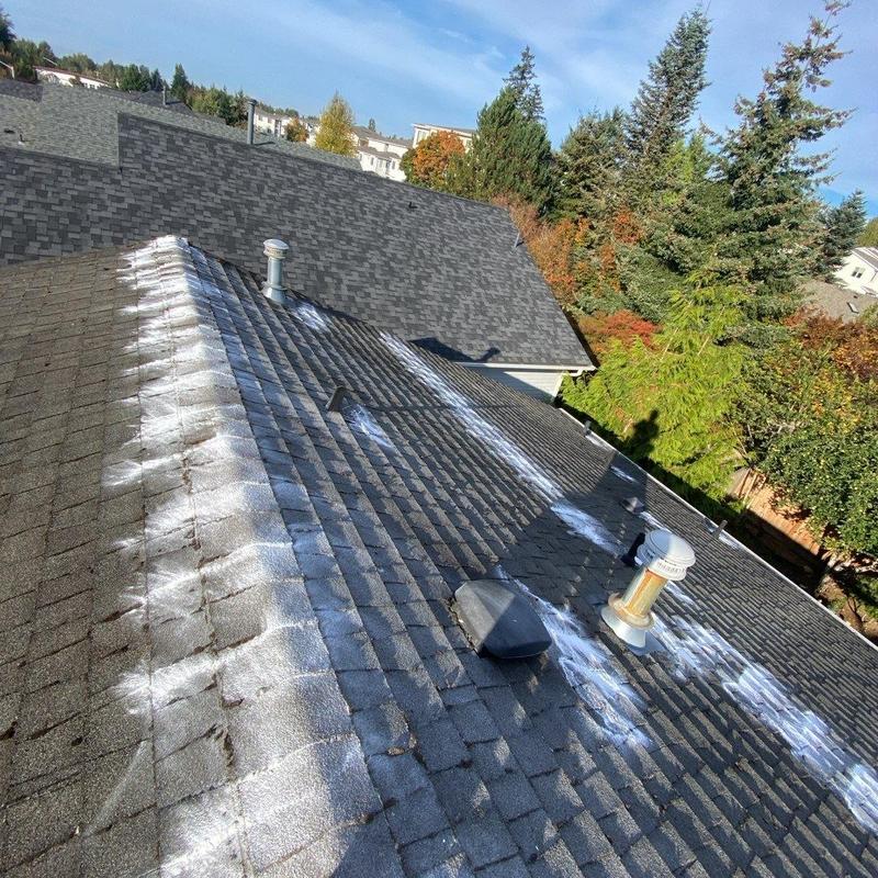 Roof shingles with moss treatment and cleaning residue