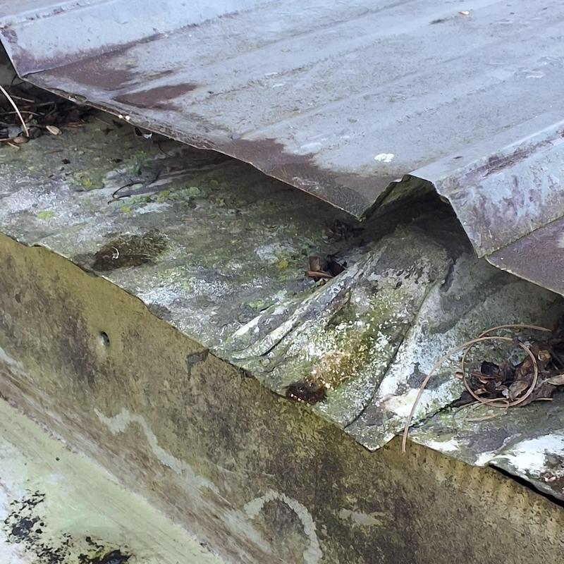 Metal roofing panel with corrosion and damage near edge Metal roofing panel with corrosion and damage near edge