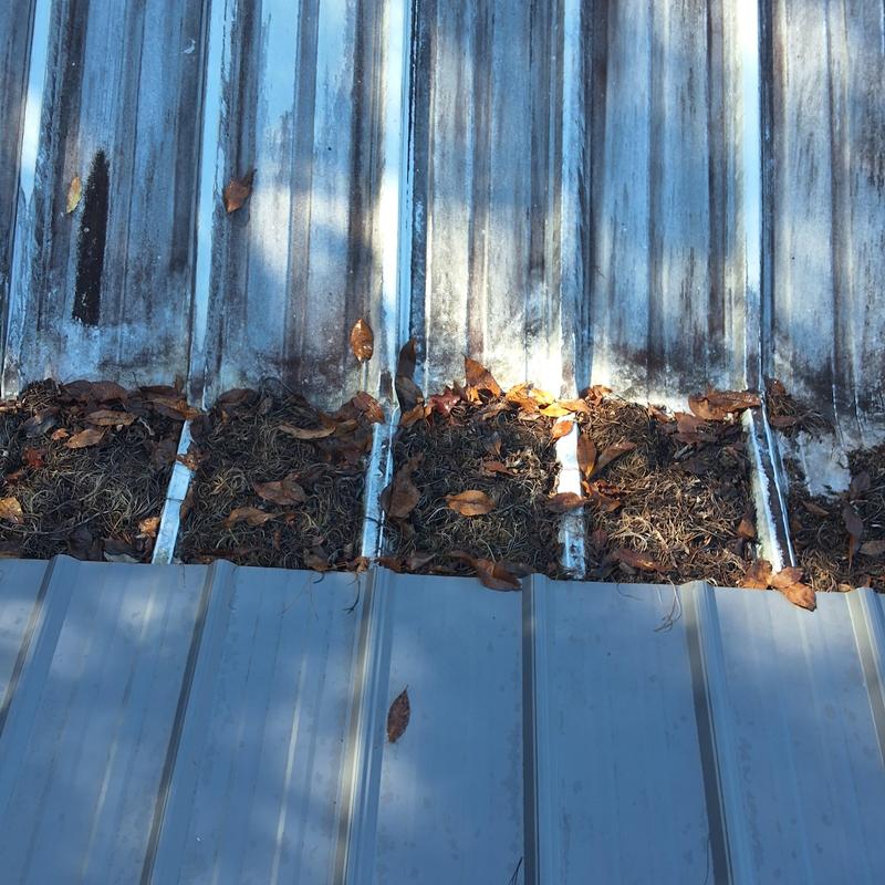 Metal roof panels showing rust and leaf debris buildup Metal roof panels showing rust and leaf debris buildup