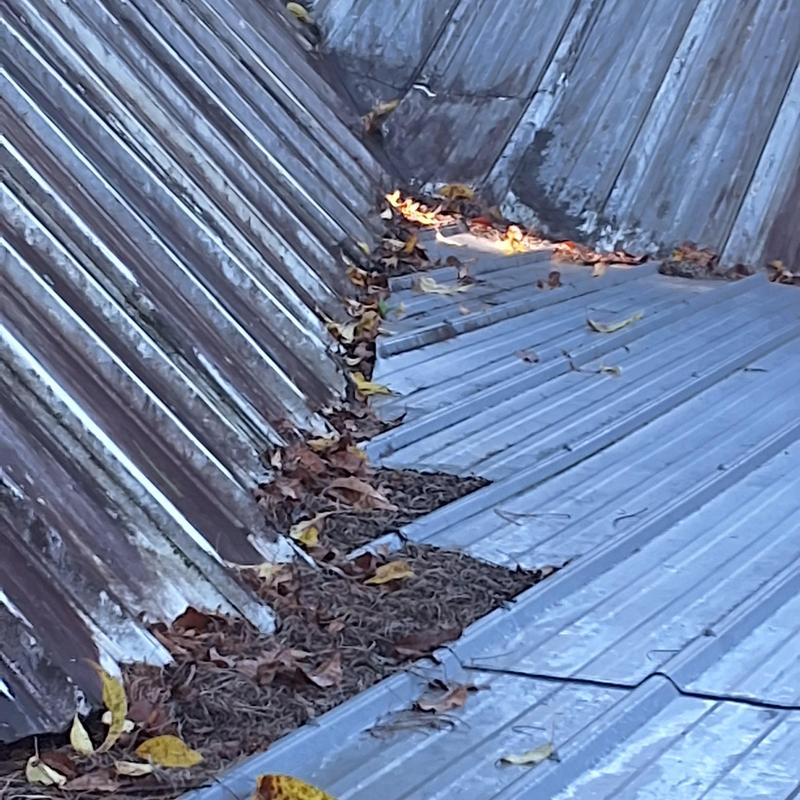 Metal roof valley with leaf debris buildup Metal roof valley with leaf debris buildup