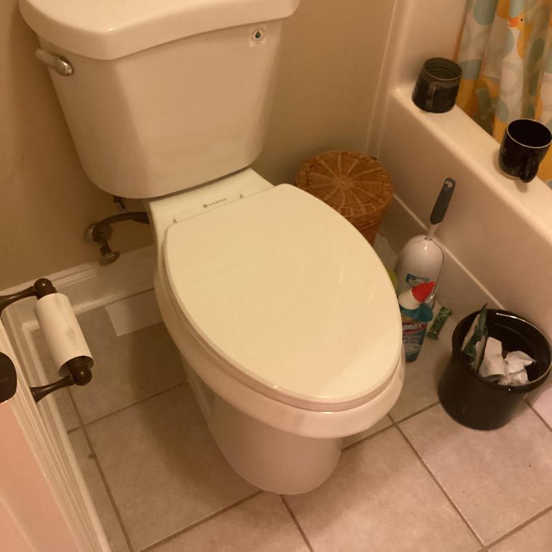 Elongated ADA height toilet installed and leveled Elongated ADA height toilet installed and leveled
