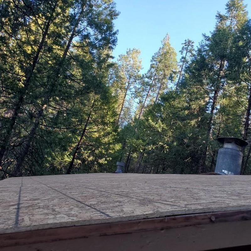Cabin roof plywood decking replacement in forest setting