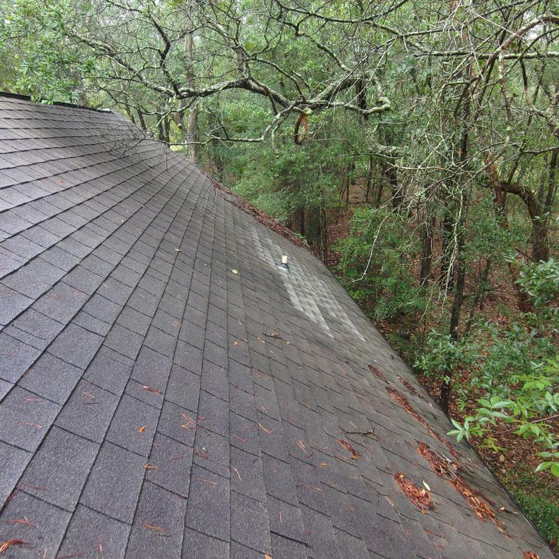 GAF Timberline Weathered Wood shingles with tree limbs cleared