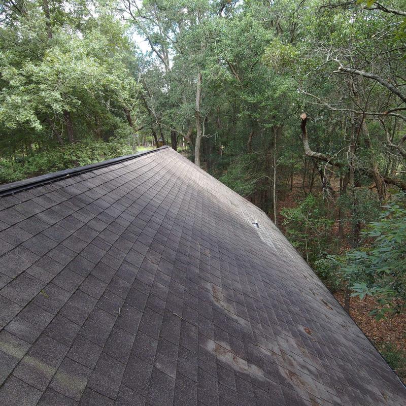 GAF Timberline Weathered Wood shingles with cleared limbs