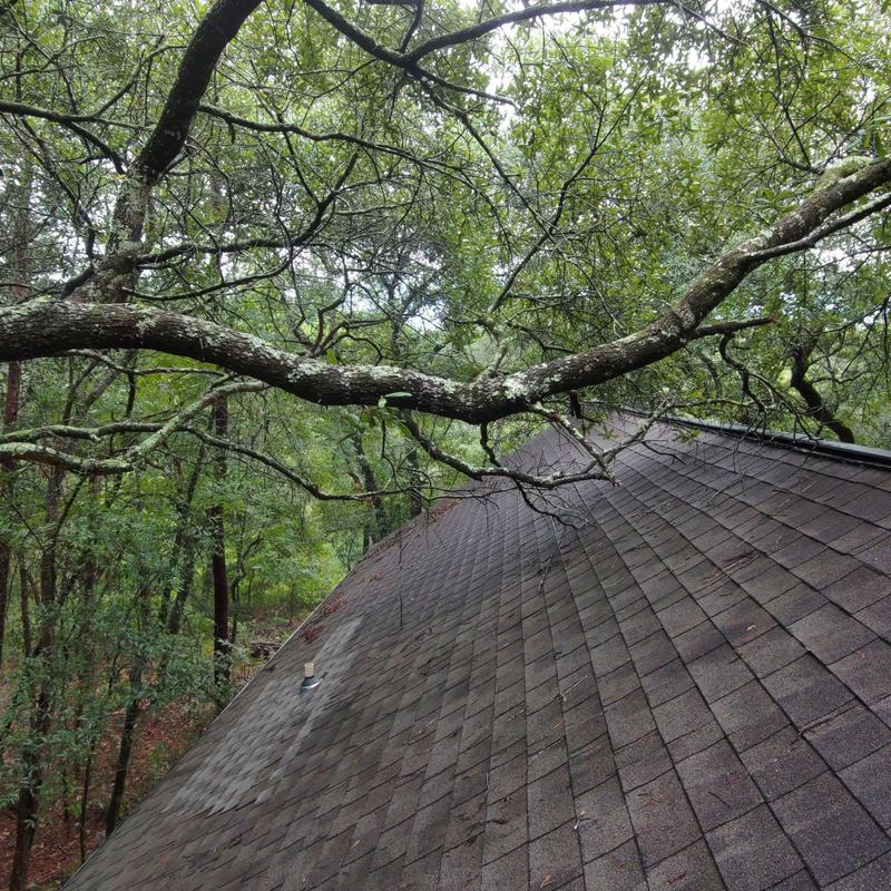 GAF Timberline shingles and overhanging tree limbs on roof