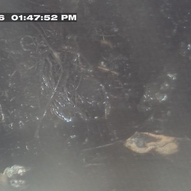 Storm drain pipe clogged with large root ball blockage Storm drain pipe clogged with large root ball blockage