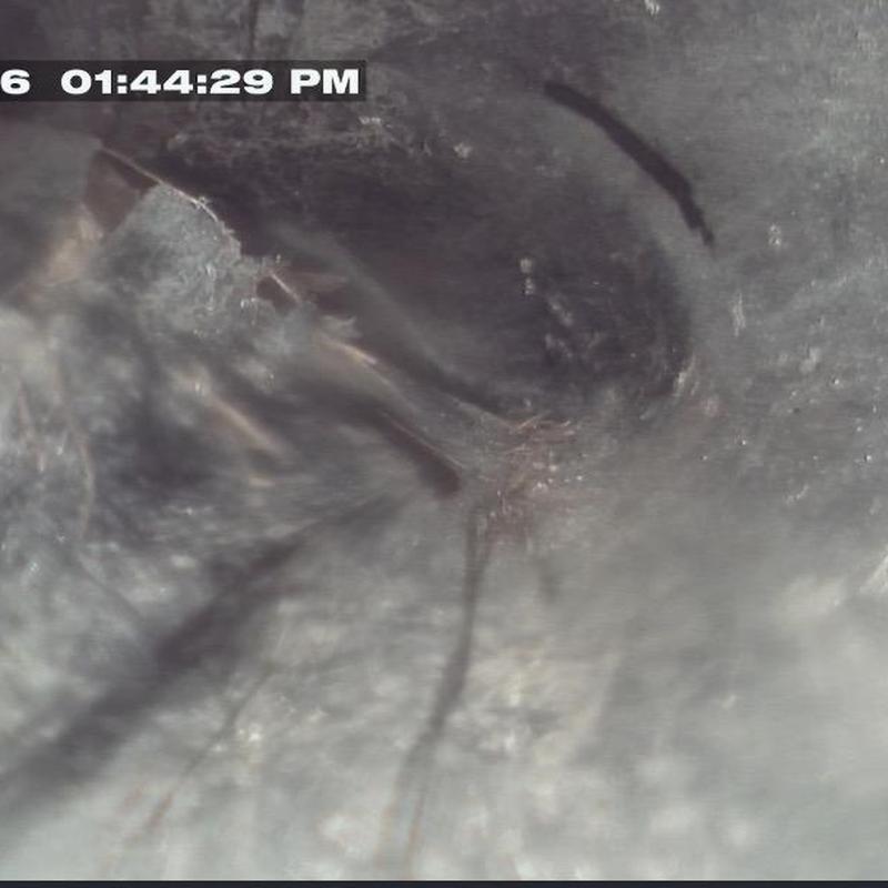 Storm drain pipe with root intrusion inside view Storm drain pipe with root intrusion inside view