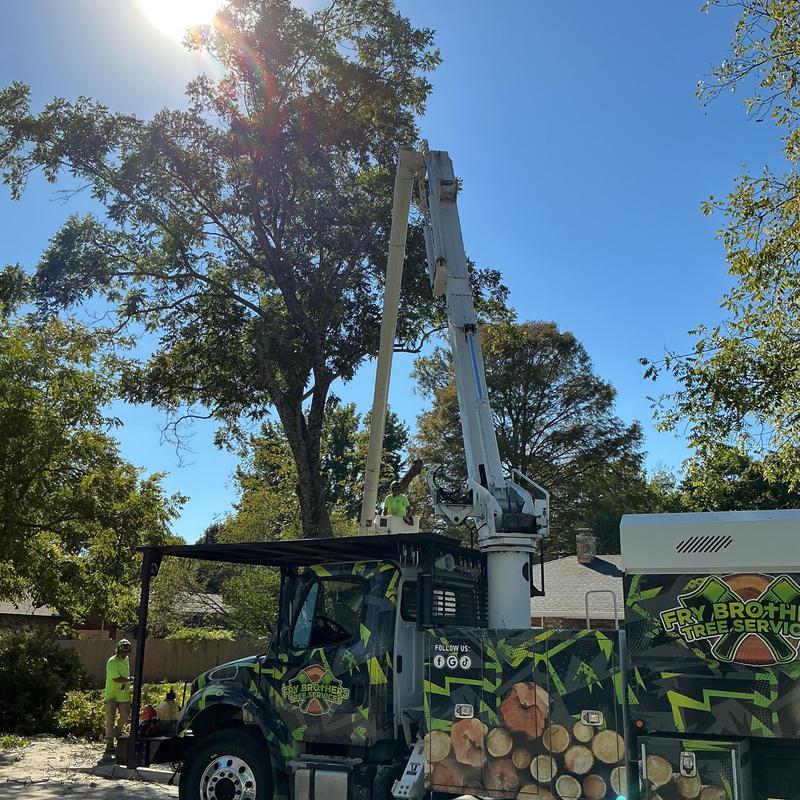 Pecan tree removal with aerial lift truck