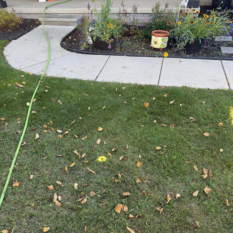 Main drain with green jetter hose outside house