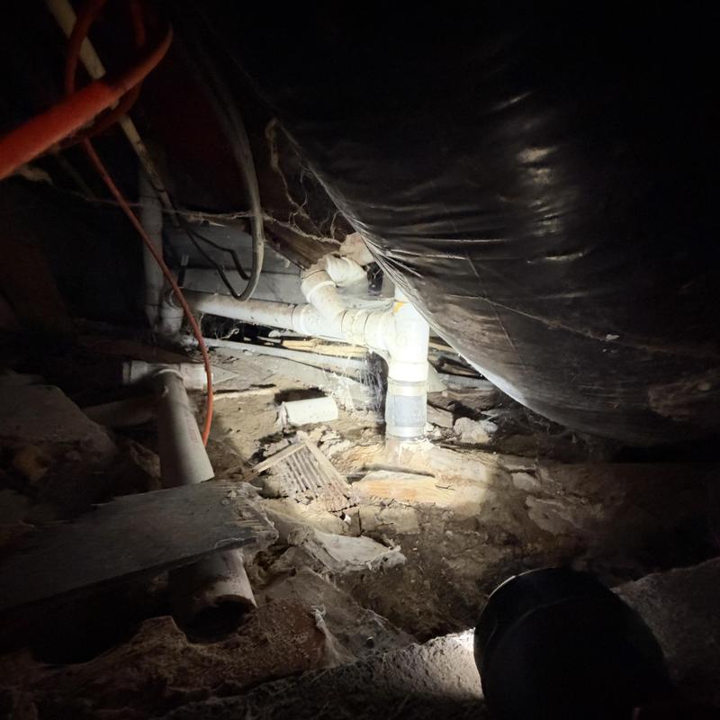 Main sewer line with pipe connections in crawl space