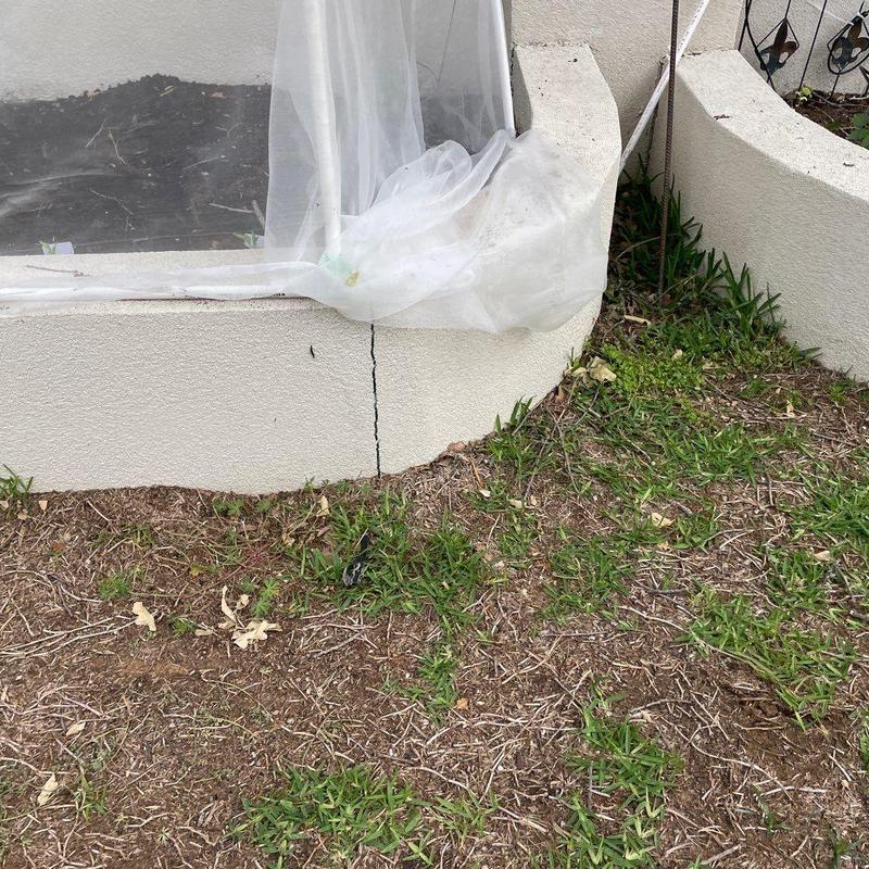 Stucco wall crack near patio corner and grass Stucco wall crack near patio corner and grass