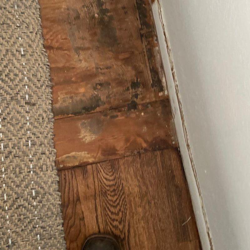 Wood subfloor with water damage under hardwood flooring Wood subfloor with water damage under hardwood flooring