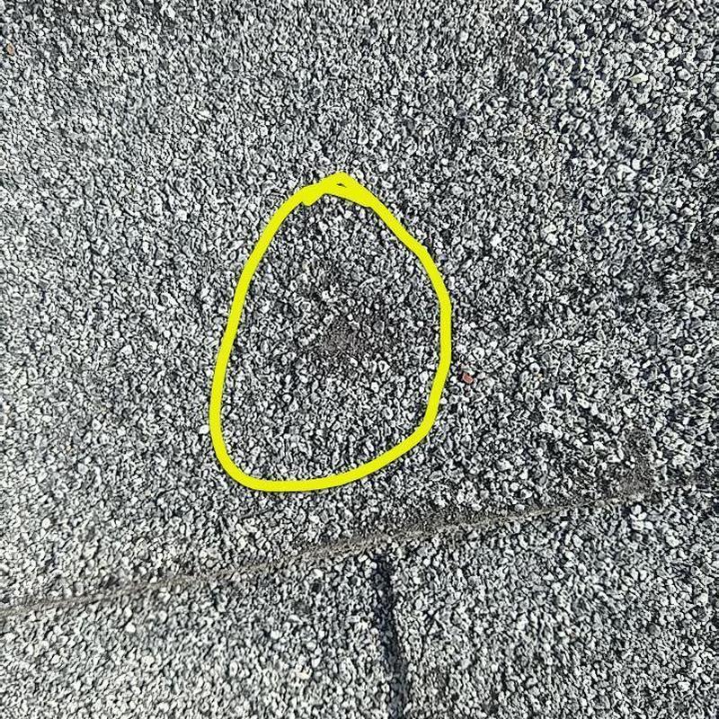 Pin Photo