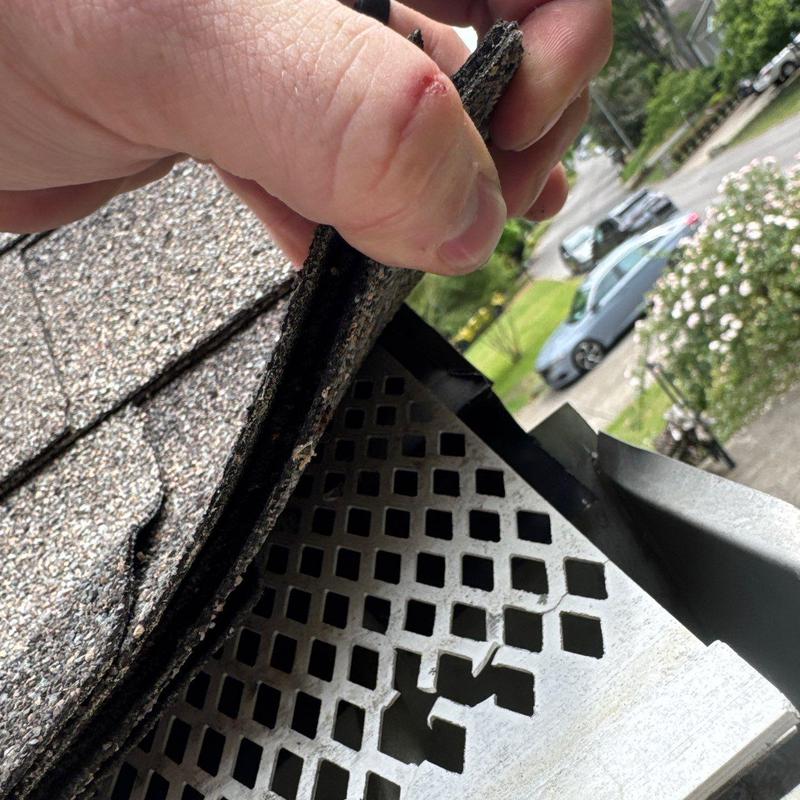 Roof shingles lifted to inspect metal roof vent screen damage