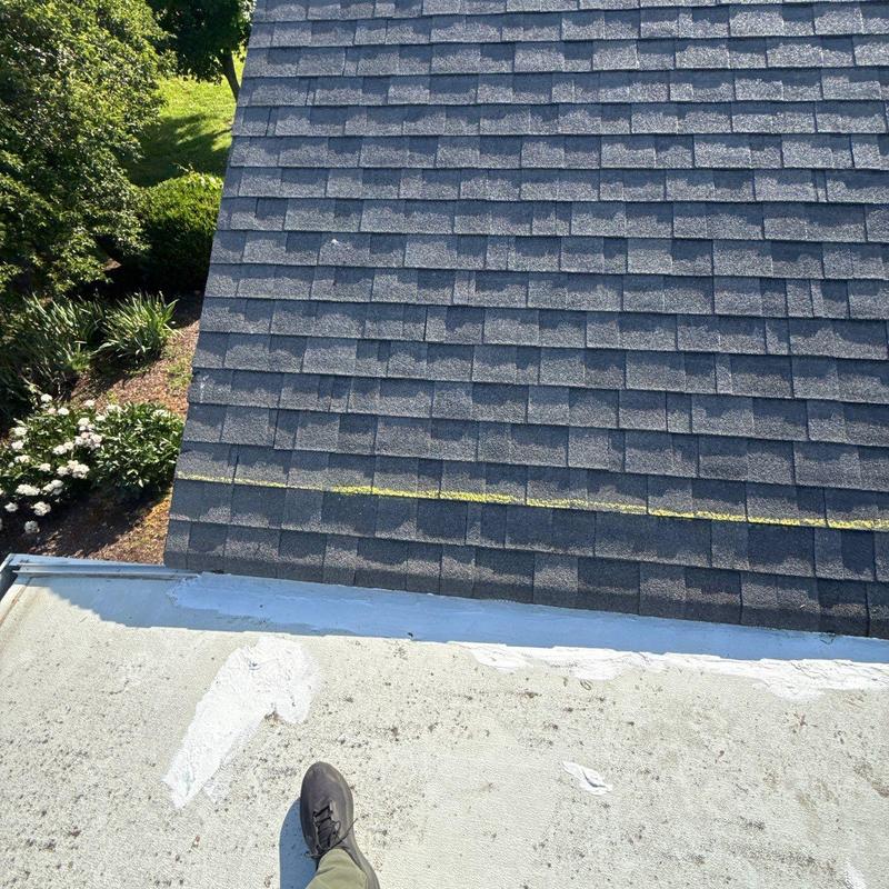 Asphalt shingle roof with yellow chalk line marking