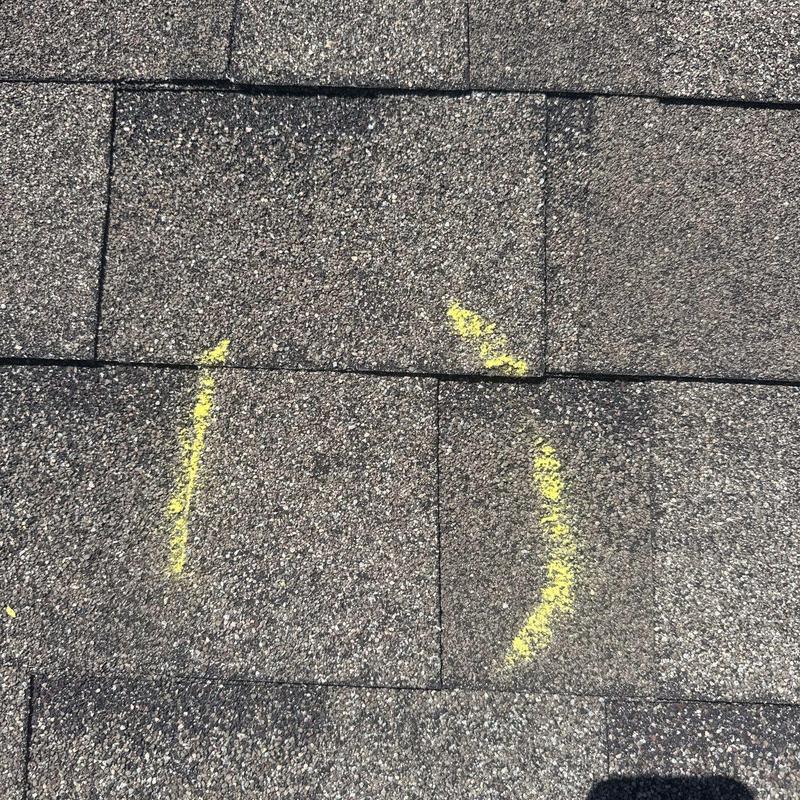 Asphalt roof shingles with hail impact markings
