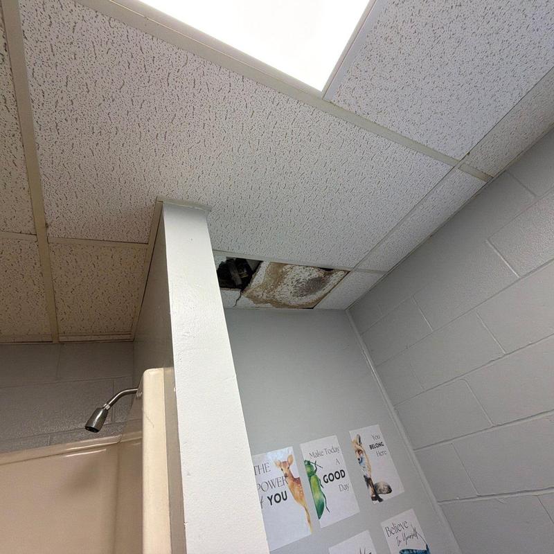 Suspended ceiling panel with water damage and hole