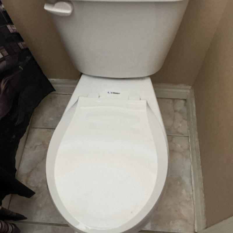 Toilet seat installation on existing toilet bowl