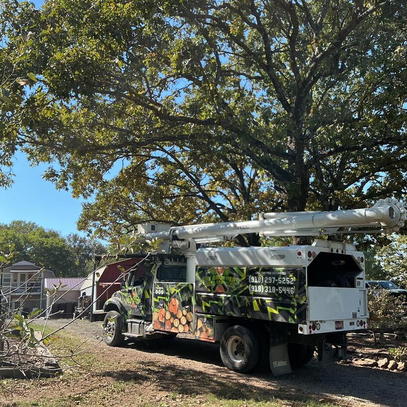 Bucket truck parked for tree trimming and removal job