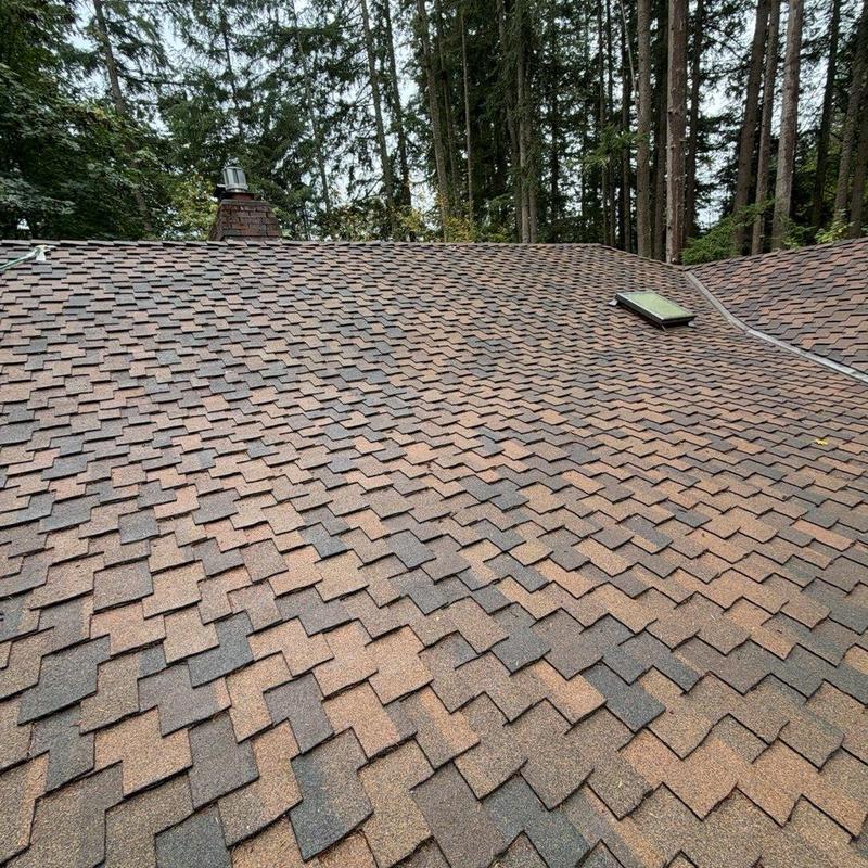 Asphalt shingle roof with skylight and chimney