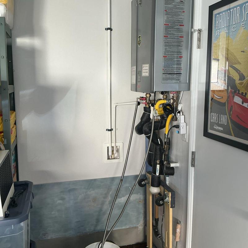 Tankless water heater with flush and inspection setup