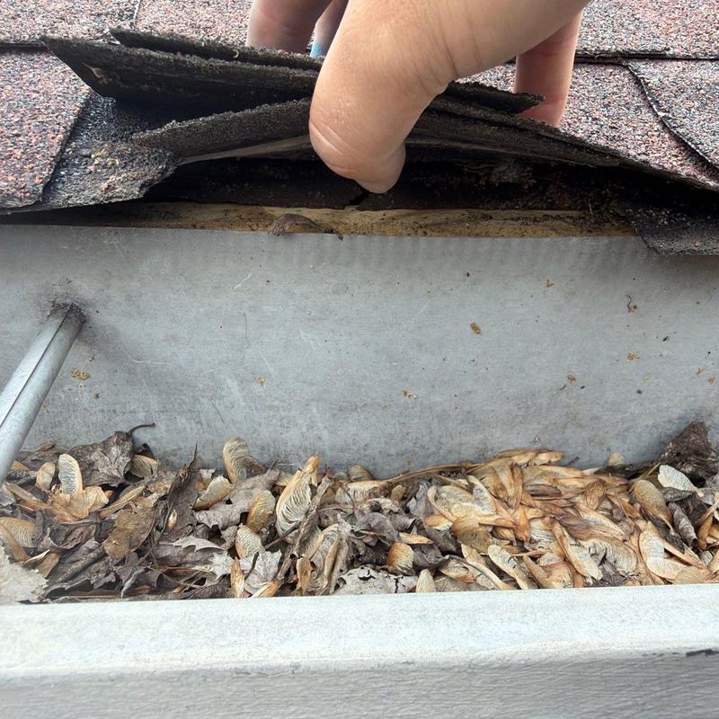 Roof shingles lifted to inspect debris in gutter tray