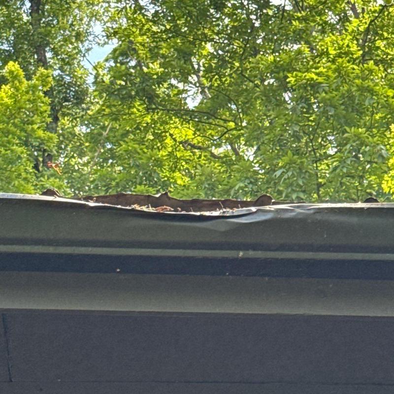 Roof edge with weather damage and debris buildup