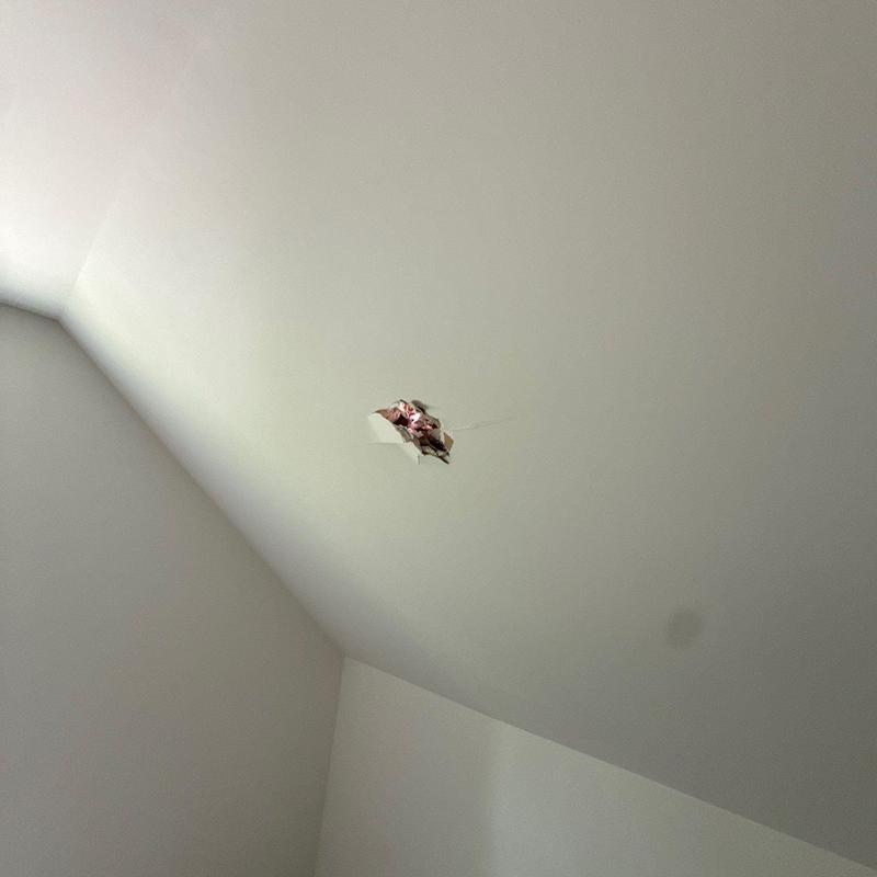 Drywall ceiling with hole and exposed insulation