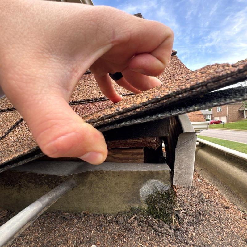 Asphalt roof shingles lifted for inspection on residential roof