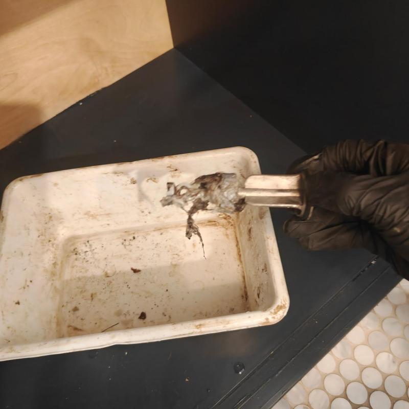 Bathroom secondary line clog removal tool and debris