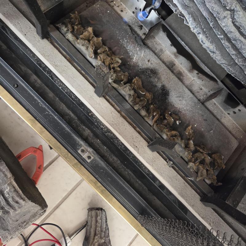 Gas fireplace burner with debris buildup inside firebox Gas fireplace burner with debris buildup inside firebox