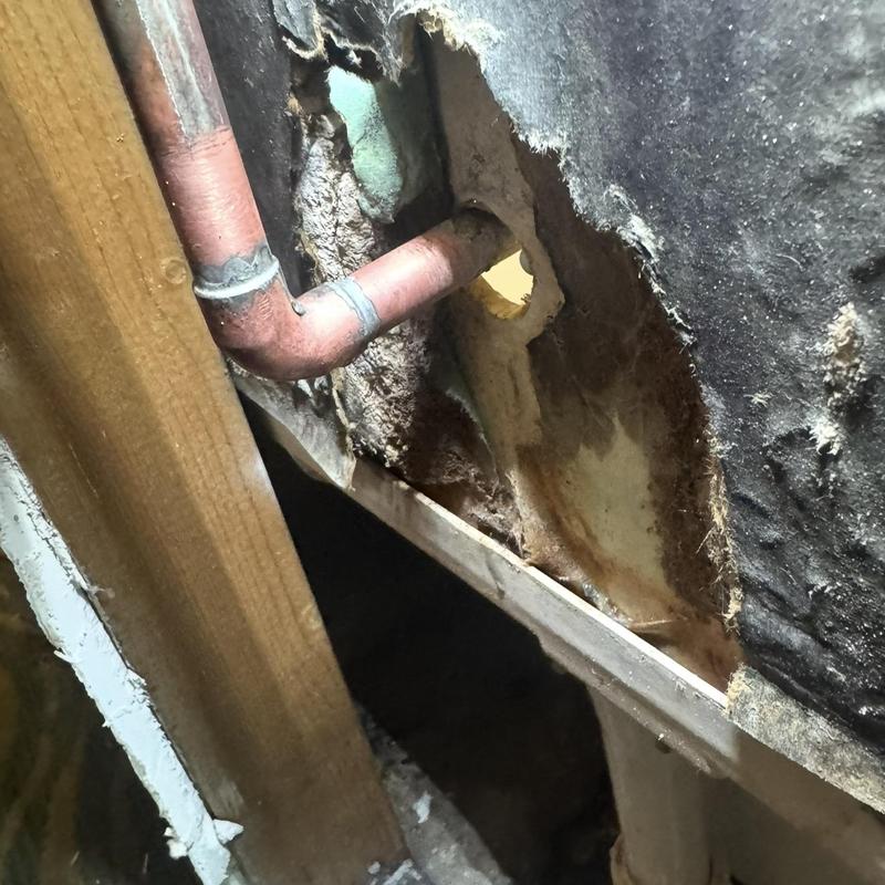 Copper shower pipe with wall damage from leak