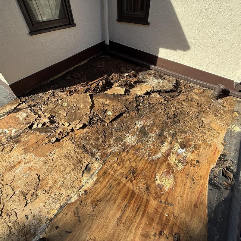 Damaged plywood decking on flat roof prior to replacement