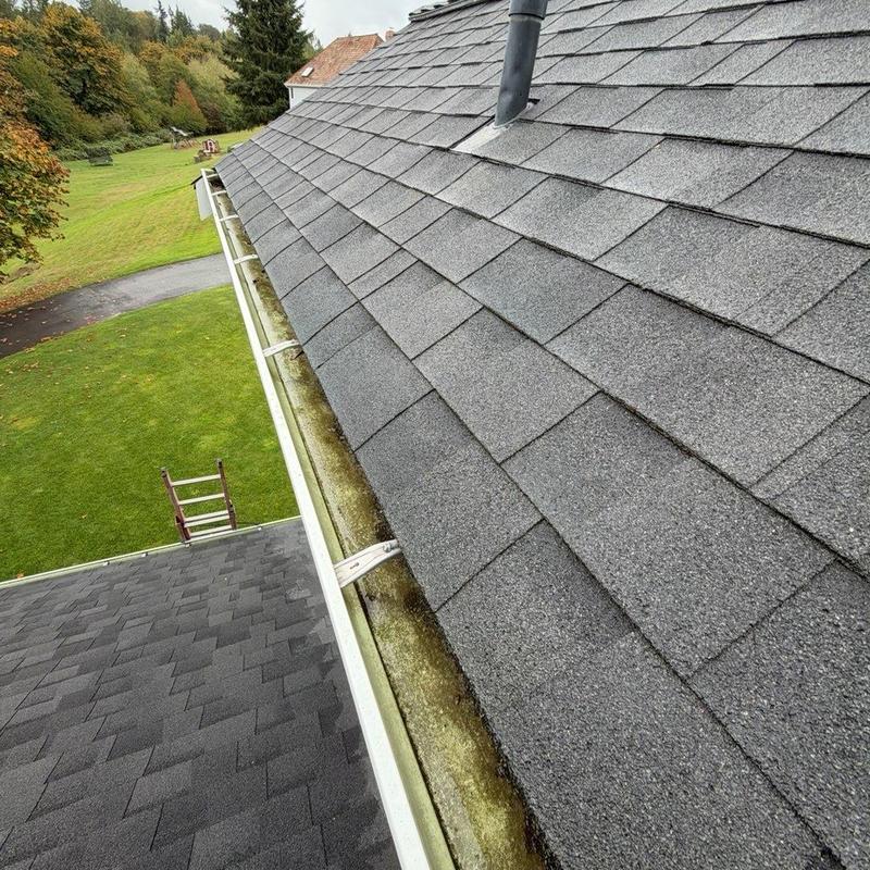 Roof shingles and gutters with moss buildup on edge
