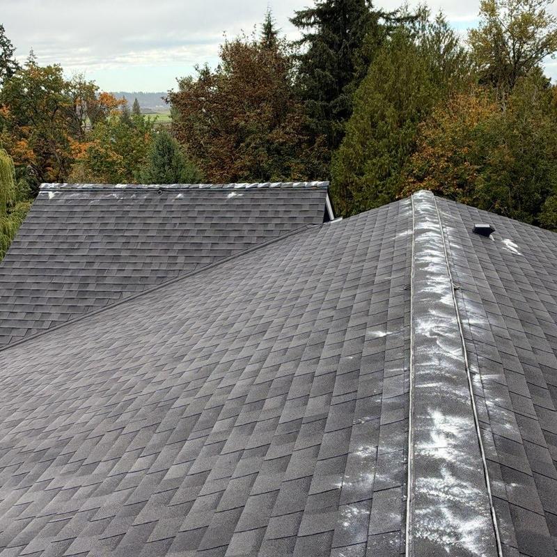 Roof shingles with moss treatment on ridge line