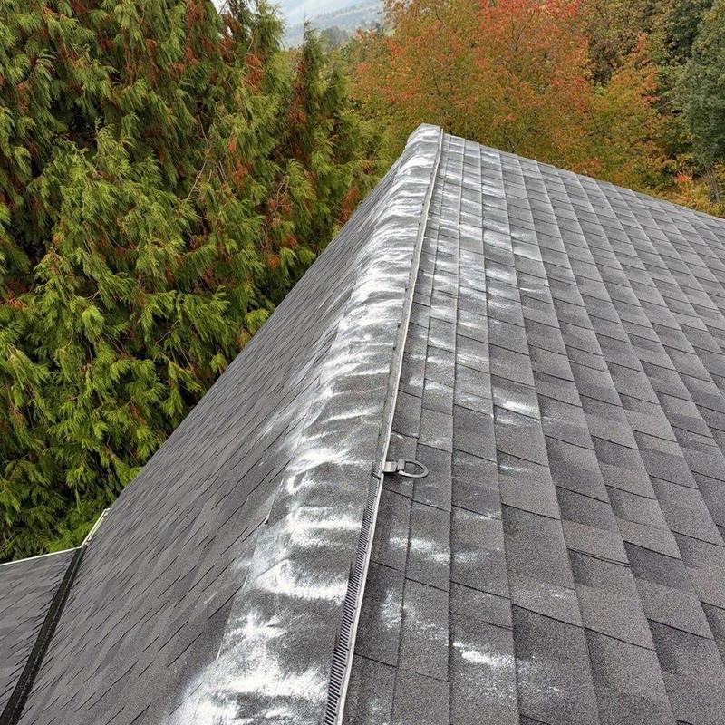 Roof ridge with moss treatment and cleaning residue
