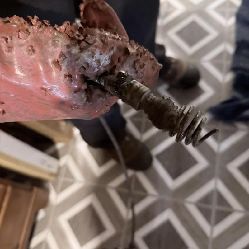 Tub drain auger with debris after clearing blockage
